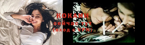 молекула духа Алзамай