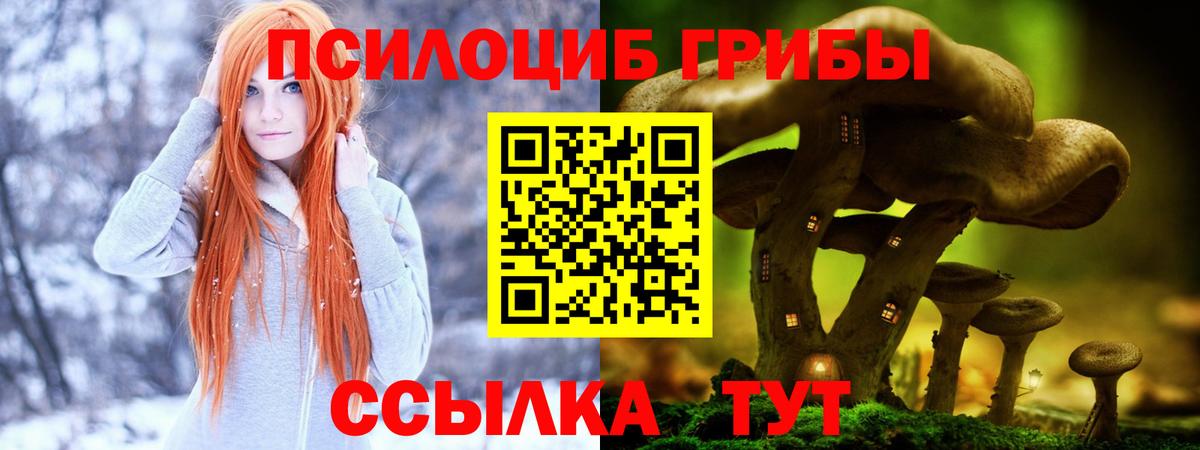 Псилоцибиновые грибы мицелий Анапа
